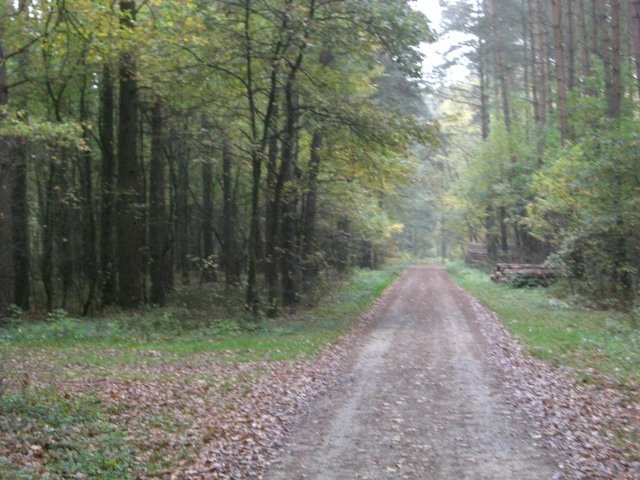 CTF Celle Strecke 029